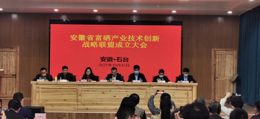 成立1_副本