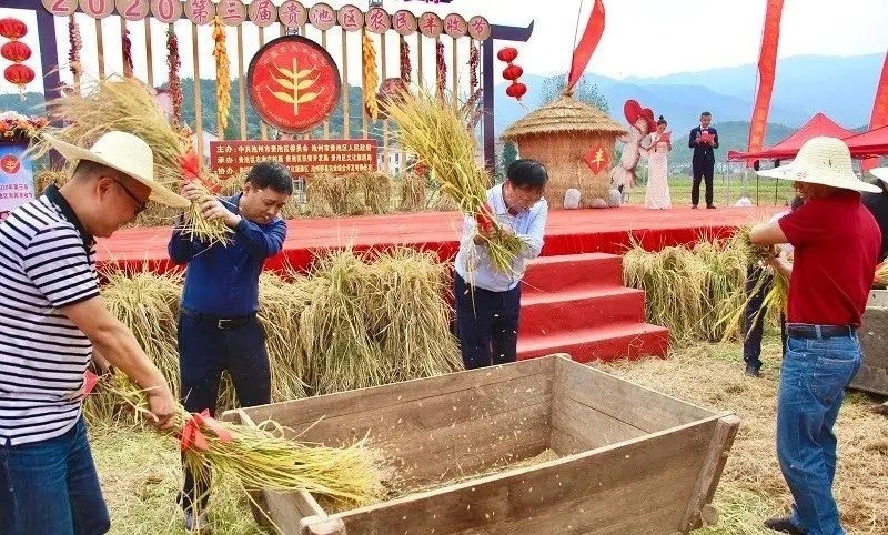 欢庆丰收1_副本