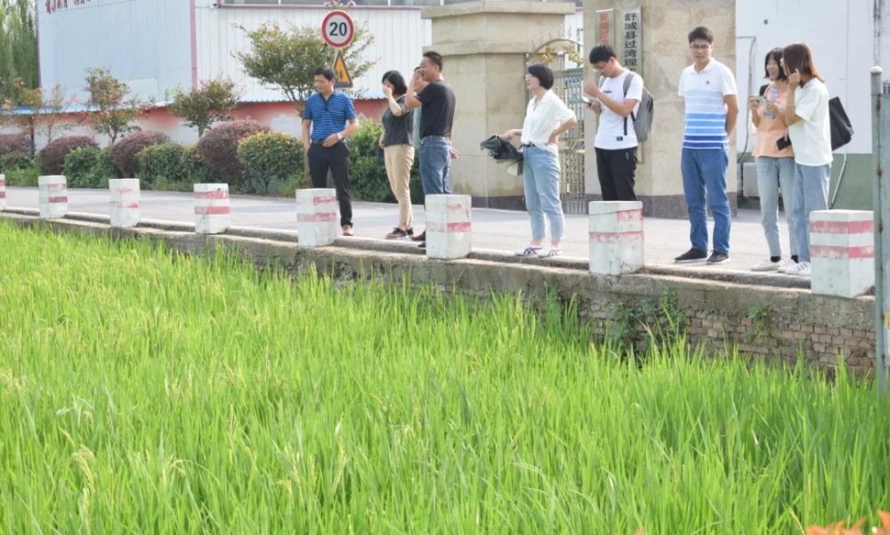 农业大学1_副本