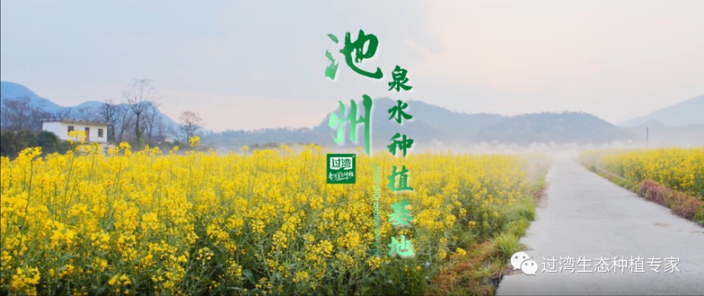 4_副本