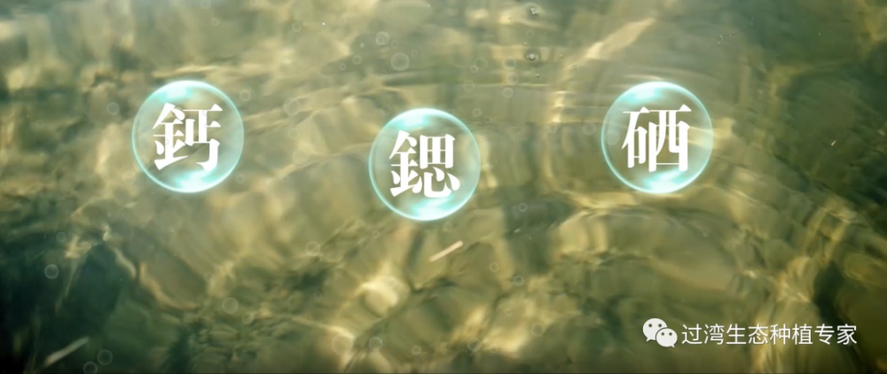 9_副本
