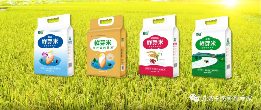 15_副本