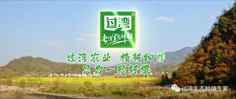 17_副本