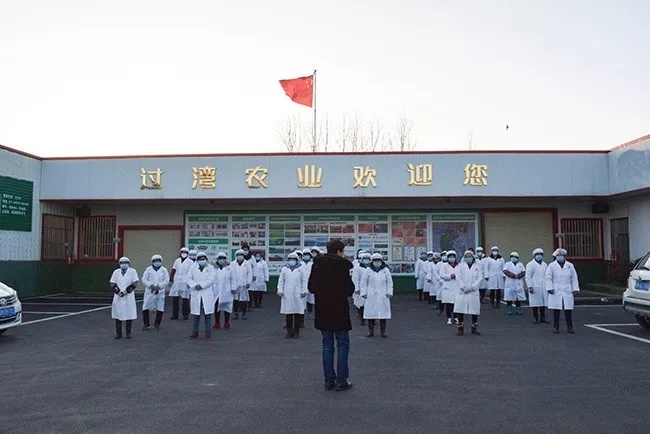 抗击疫情3_副本