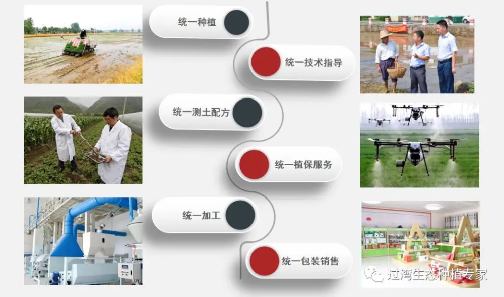 教授调研2_副本