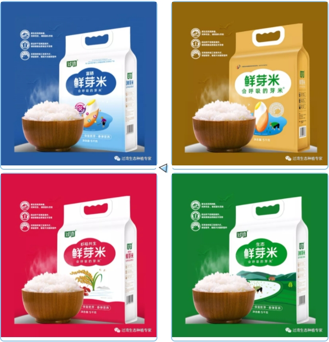 交易会6