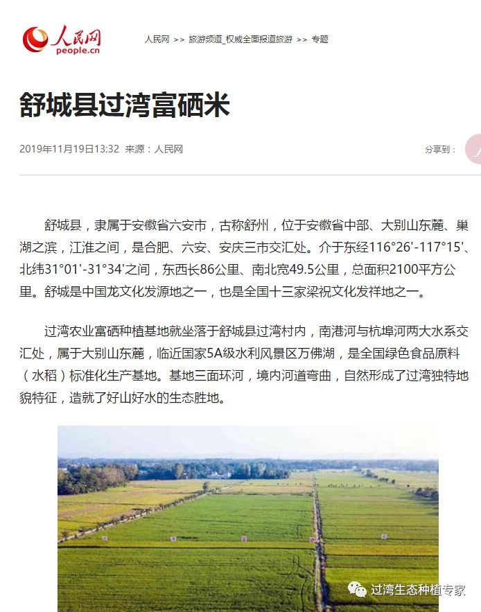 人民网_副本