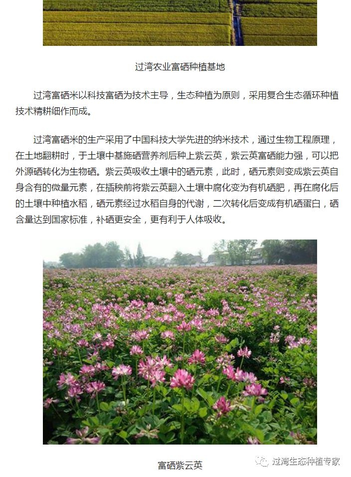 人民网1_副本