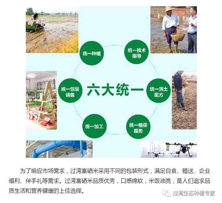 人民网3_副本