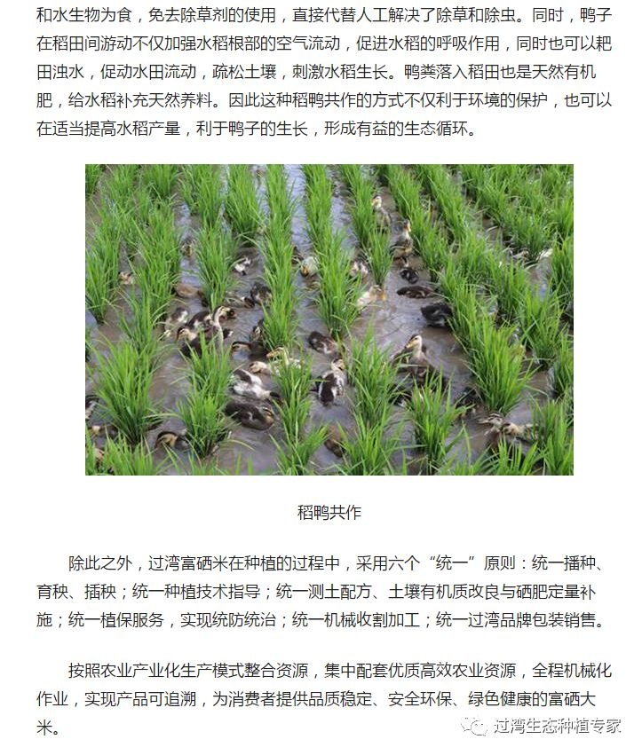 人民网2_副本