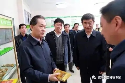 张曙光3_副本