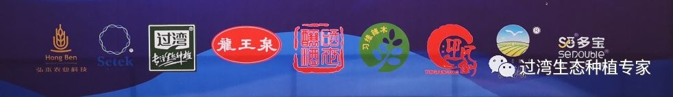鲜芽米1_副本