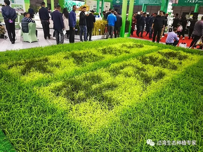 鲜芽米4_副本