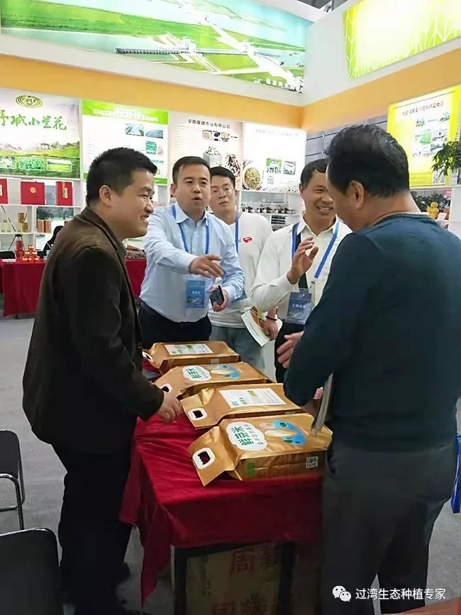 鲜芽米9_副本