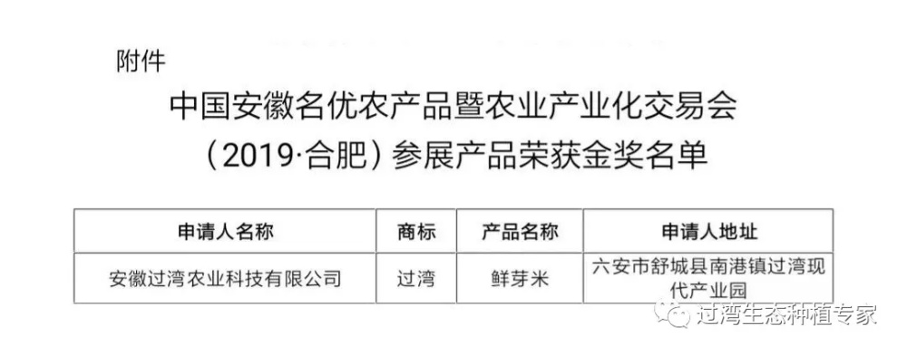 鲜芽米10_副本