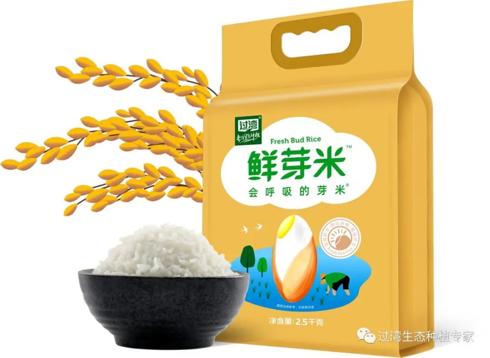 鲜芽米13_副本