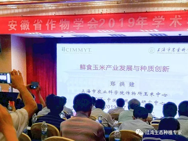 作物学会6_副本
