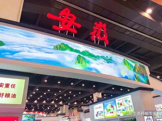 大会_副本