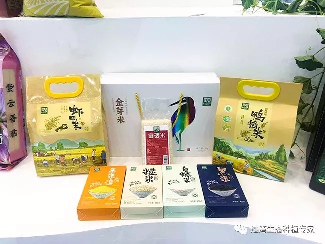 大会5_副本