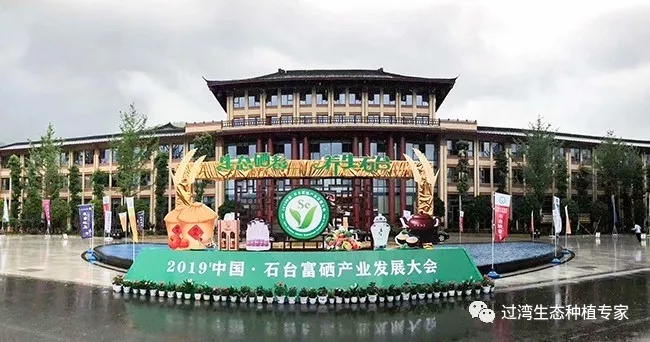 大会_副本