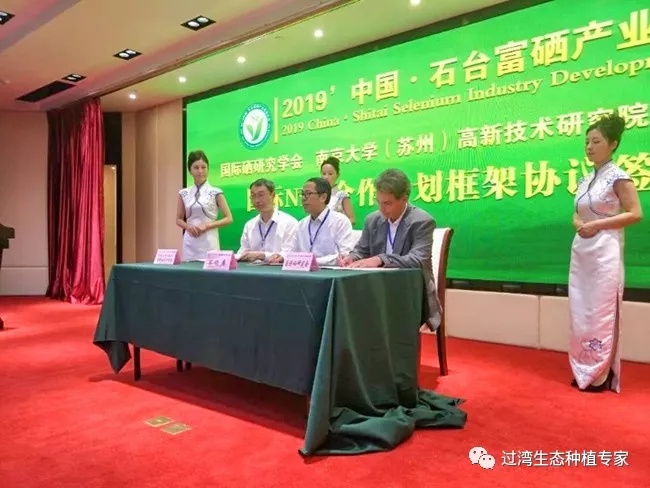 大会7_副本