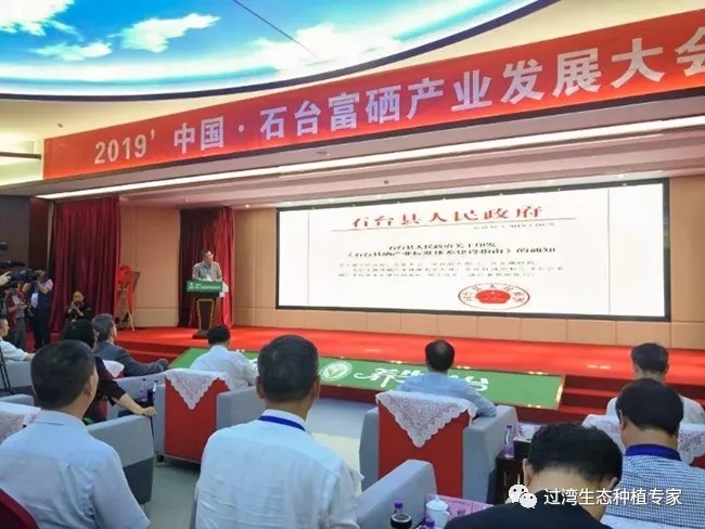 大会8_副本
