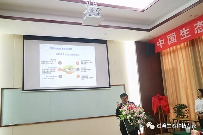 大会14_副本