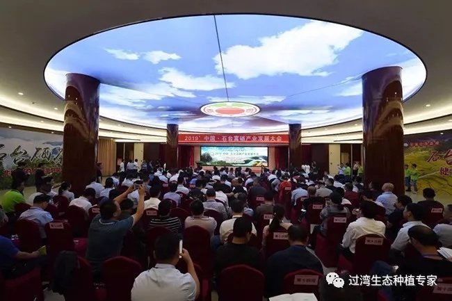 大会17_副本