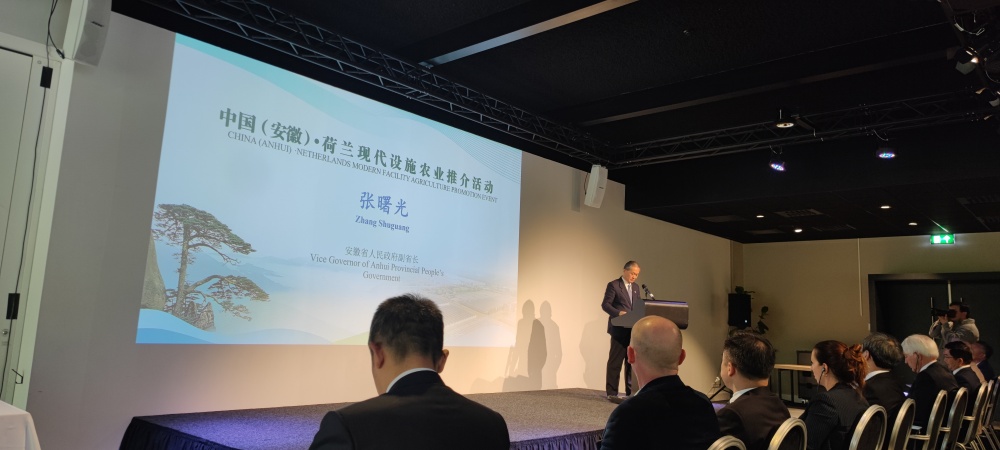 微信图片_20250424084530_副本