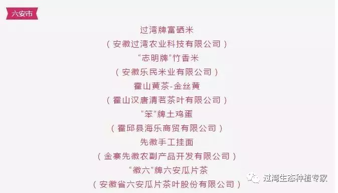 电商大会1