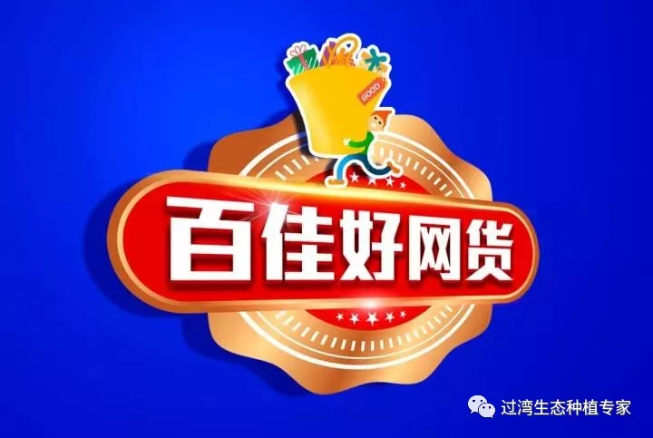 电商大会2
