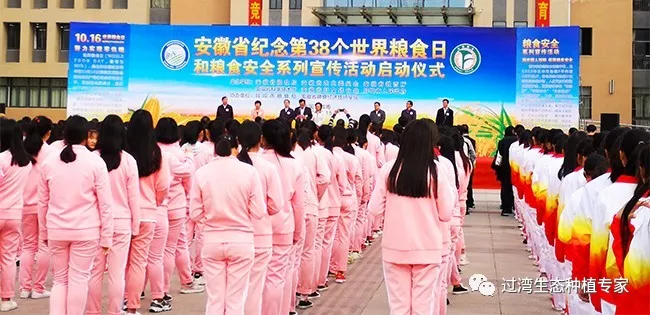 粮食安全