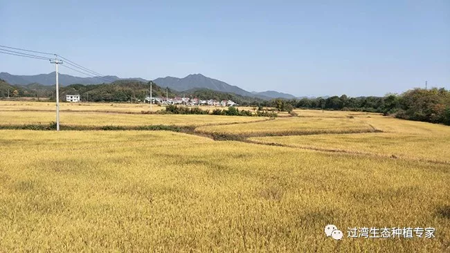 粮食安全8
