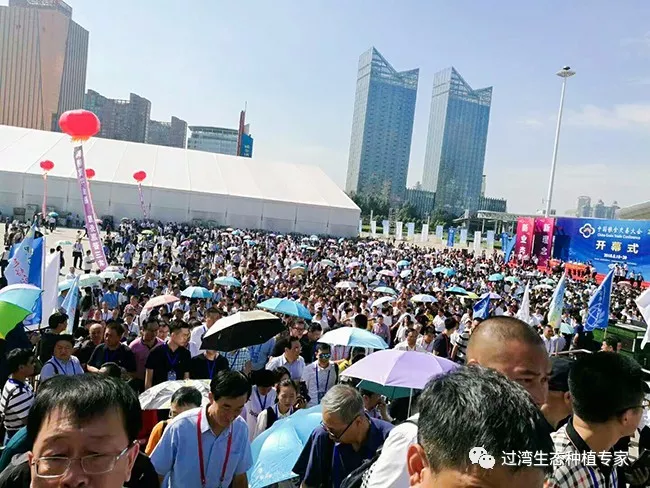 交易大会1