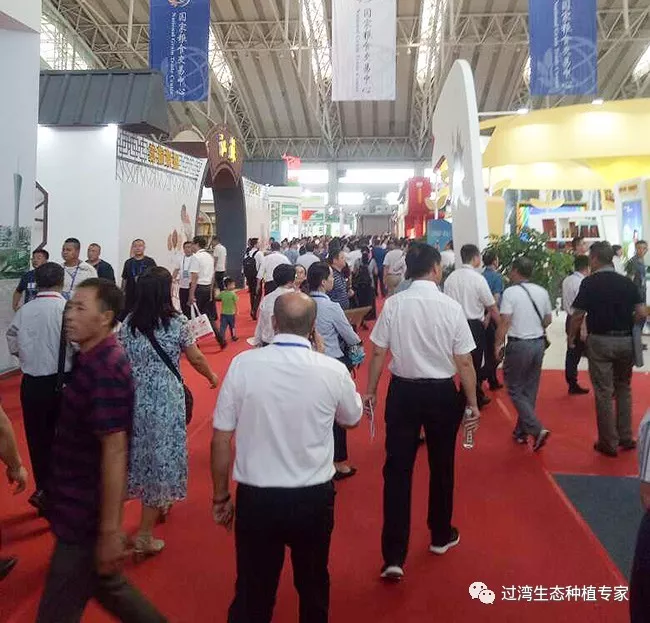 交易大会2