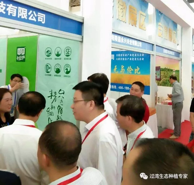 交易大会4