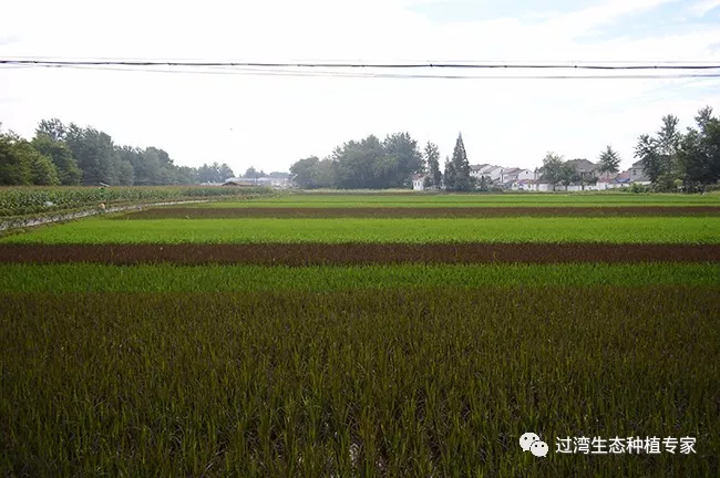 采访2