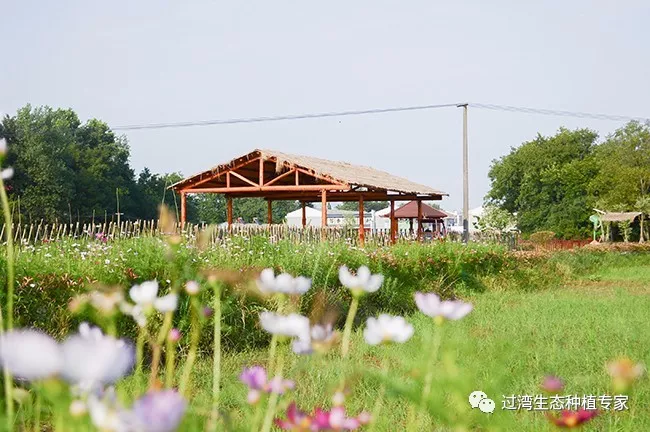 采访5