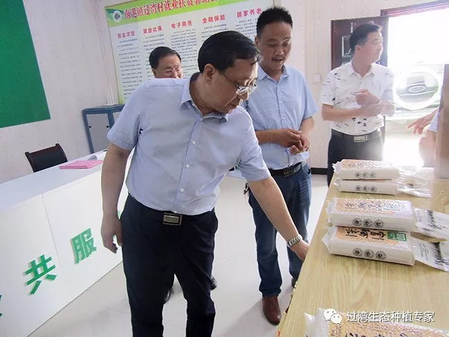 调研4