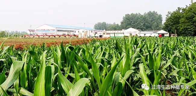 参观8