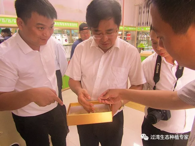 调研4