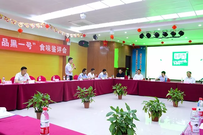 座谈会8