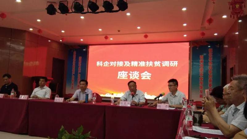座谈会11