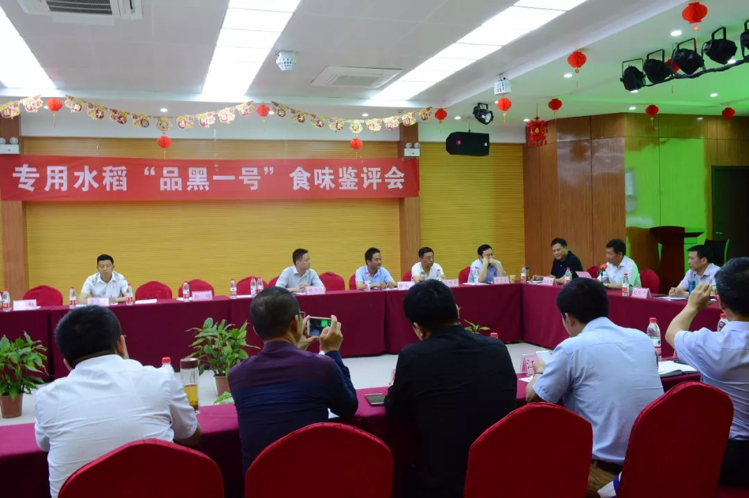 座谈会13