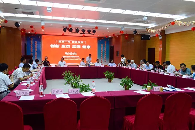 座谈会16