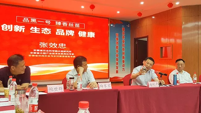 座谈会19