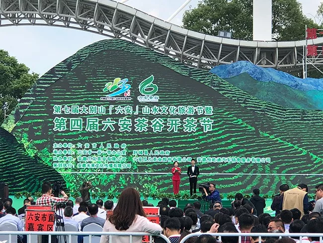开茶节2