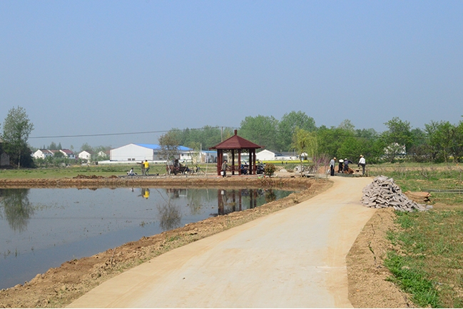 在建项目：农业展示长廊1