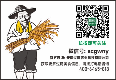 公众号底图